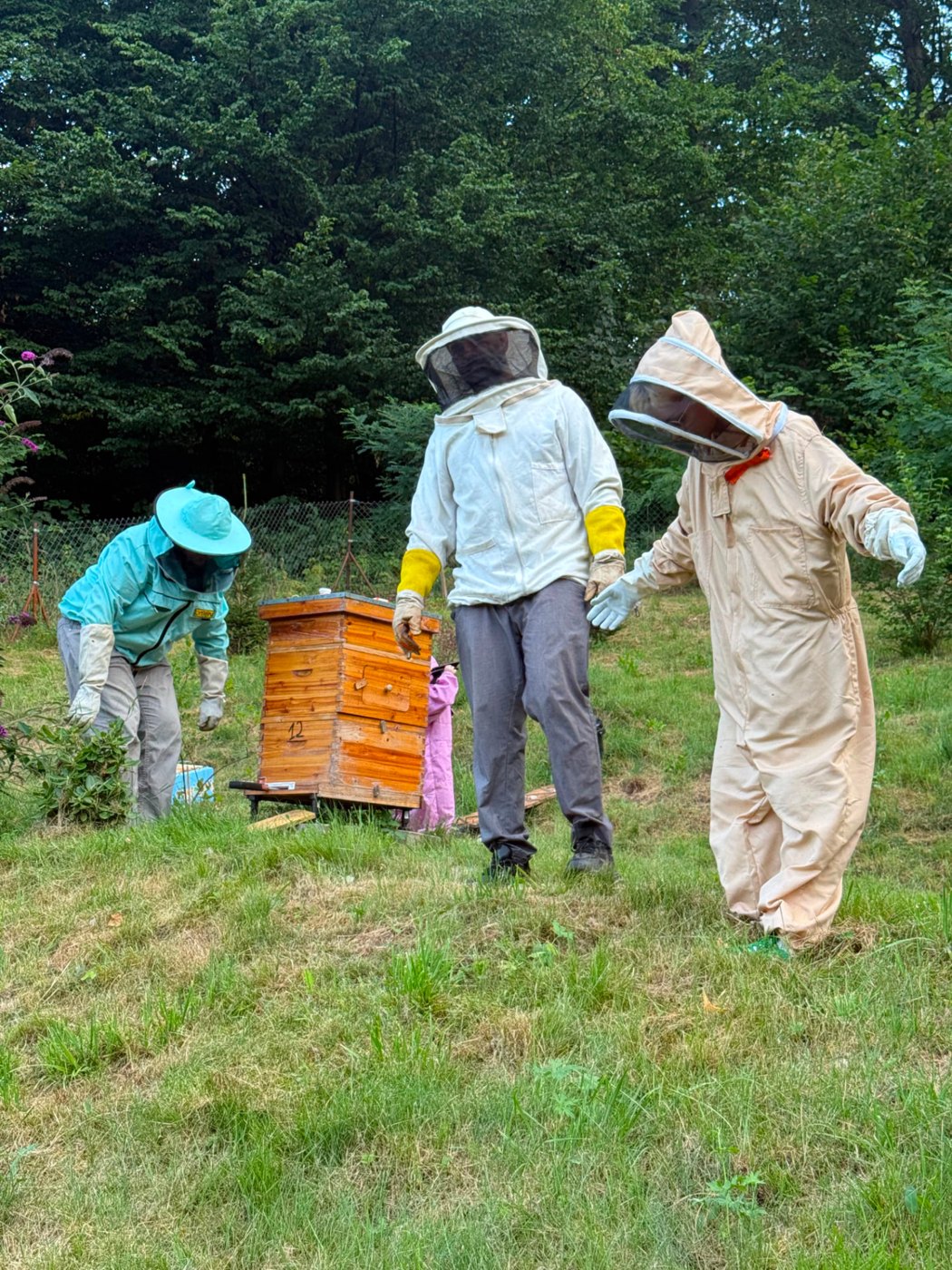 BOBER Archiv — Bienen